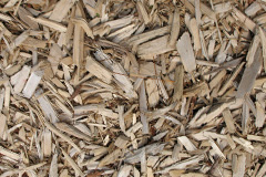 biomass boilers Gartsherrie